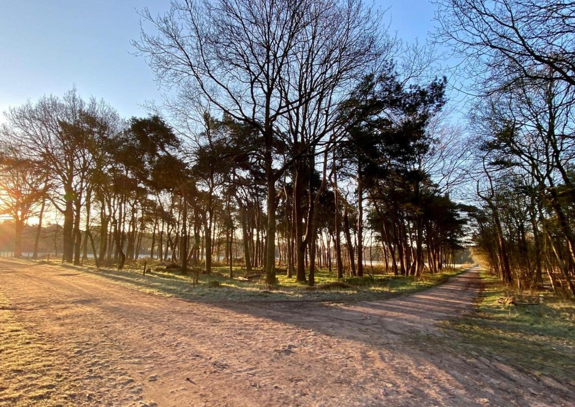 Apartmán Hotspot Location, Wifi, Bed En Koffie Harmony Tilburg Exteriér fotografie